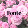 fonteさんのショップ