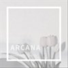 arcana0911さんのショップ