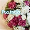 puamelia0715さんのショップ