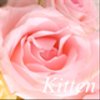 kitten-salonさんのショップ