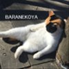 baranekoyaさんのショップ