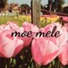 moe-meleさんのショップ