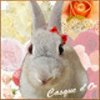 casquedorさんのショップ