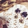 ricoo-mrさんのショップ