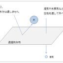 作品画像4枚目