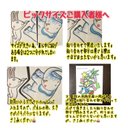 作品画像7枚目