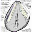 作品画像4枚目