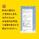 作品画像23枚目