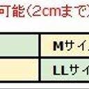 作品画像2枚目