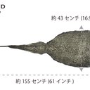 作品画像5枚目