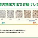 作品画像3枚目