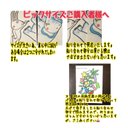 作品画像12枚目