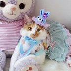 作品犬 うさぎ 帽子 ブルー ♡ 干支 お正月 イースター バニー  猫 ペット かぶりもの 被り物 フリル レース リボン 誕生日 うちの子記念日 冠 バースデー ニット ニット帽