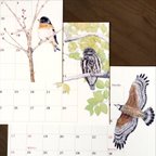 作品野鳥のカレンダー 2023 (リフィル版)