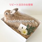 作品【リピート注文のお客様】メンテナンス　羊毛フェルト　うさぎ　人形　ぬいぐるみ