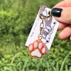 作品肉球 キーホルダー オレンジ 本物のかすみ草の花びら 犬 猫 ペット イメージカラー 推しカラー 受注生産