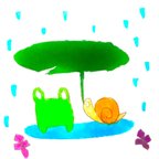 作品雨のカエル達