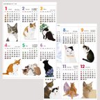 作品【2枚組】2024年猫ともカレンダー各A3サイズ壁貼りタイプ