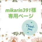 作品mikarin391様専用ページ♡