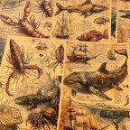作品Log Book　航海　危険生物　海の生物　素材紙　 コラージユ　デザインペーパー （L）