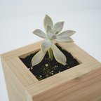 作品植物や小物を入れれる無垢ウッドプランター♪植木鉢　正方形16センチ×16センチ（小）