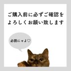 作品【※必読】ご購入前にご確認をお願い致します。