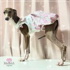 作品【イタグレ用犬服】【ご新規様ウェルカムキャンペーン♡】お色も形も自由に選んで♪定番犬服バルーンワンピース風トップス♡