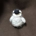 作品子ペンギン