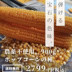 作品長野県産　ポップコーンの種 900g とうもろこし　イエローポップ　おやつ　子供　爆裂種　安心　安全　国産　バラし売り