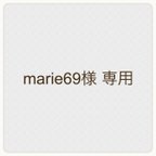 作品【marie69様　専用】【2個】ミニポケットティッシュケース