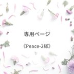 作品《Peace-2様》専用ページ