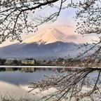 作品世界遺産 富士山 写真 桜＠河口湖　A4又は2L版 額付き 横