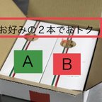 作品SP2  お得で自由な2本【送料無料】