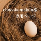 作品chocokumakun様専用ページ