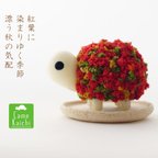 作品秋の色・苔玉かめちゃん