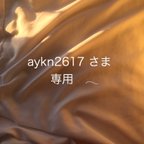 作品aykn2617 さま　専用