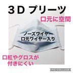 作品2枚組　3Ｄプリーツマスク　とにかく呼吸が楽！　付けていないみたい！ストレスフリーマスク！