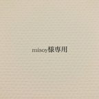 作品misoy様専用