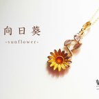 作品向日葵 -sunflower-