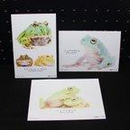 作品カエルのポストカード（3枚セット）
