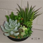 作品多肉植物 寄せ植え フェイク