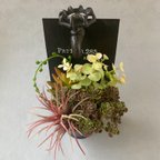 作品【在庫1点のみ】多肉植物をユニークな雑貨と合わせたフラワーアレンジ