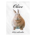 作品oliveカレンダー 2024.1-12（A4壁掛けカレンダー）【予約受付中】