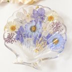 作品お花と蝶々のバイオレット貝殻型小皿ボタニカル柄🦋  小物入れやアクセサリートレイ