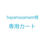 作品hayamasamam様オーダー品