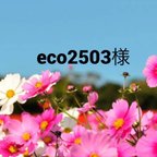 作品【3051番】eco2503様　専用ページ