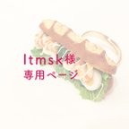 作品ltmsk様＊専用