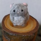 作品【羊毛フェルト】子チンチラ🐭グレー