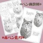 作品ペン画教材に対応した　赤ペン指導