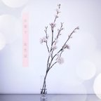 作品（水換え不要）ソメイヨシノ　しっとりお家でお花見♪　【桜の切り枝　二本挿し】